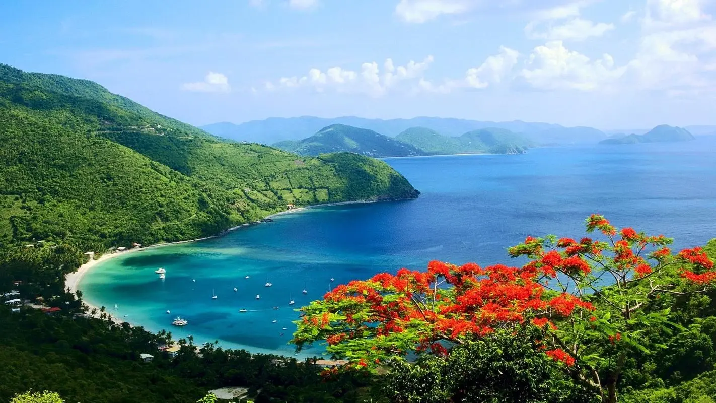 科技高标准